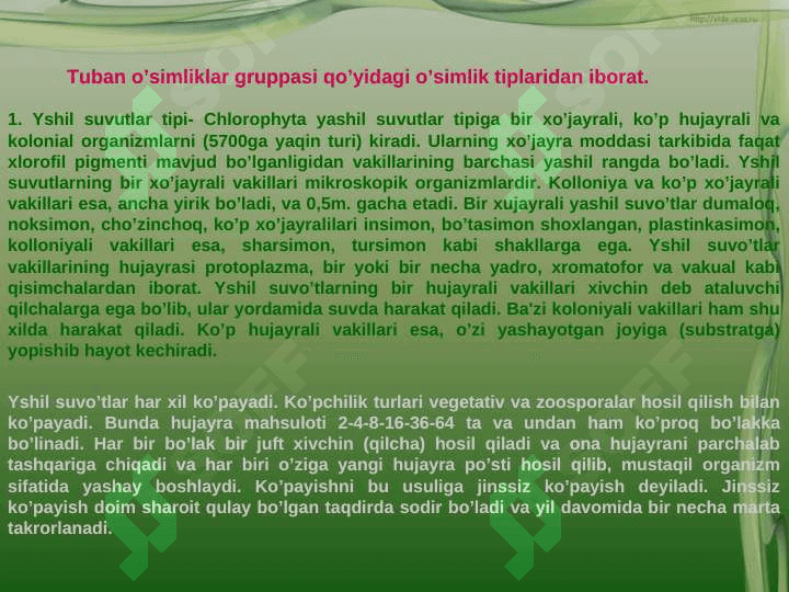 O'SIMLIKLARNING INSON HAYOTIDA TUTGAN O'RNI VA BIOSFERADAGI AHAMIYATI 8