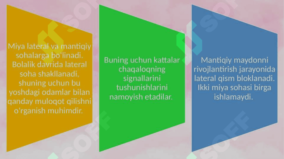 Turli yosh davrlarida o’zlashtirish xususiyatlari 20.pptx 4