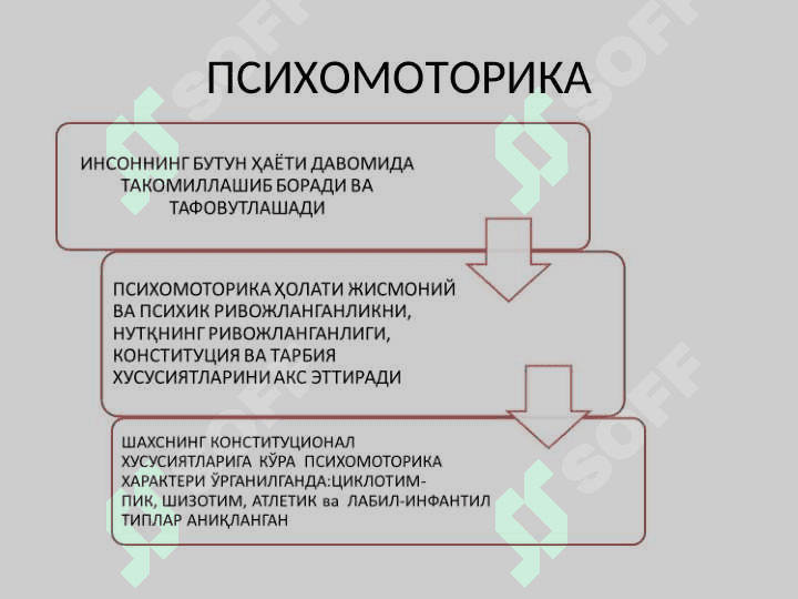 ИНСОН ПСИХОМОТОРИКАСИ ХАРАКТЕРИСТИКАСИНИ  АНИҚЛАШ 8