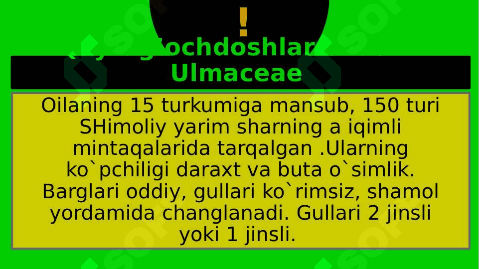 GAZANDANAMOLAR 3