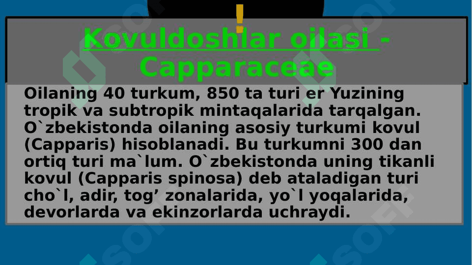 KOVULNAMOLAR 4