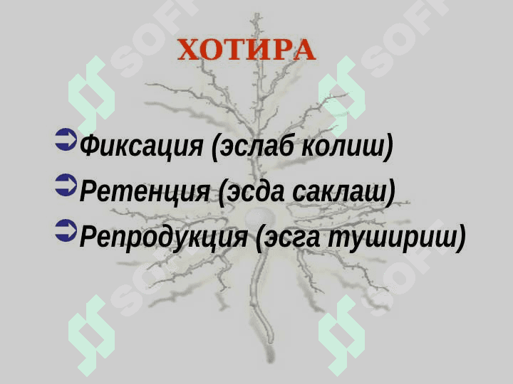 Акл ва хотира 3