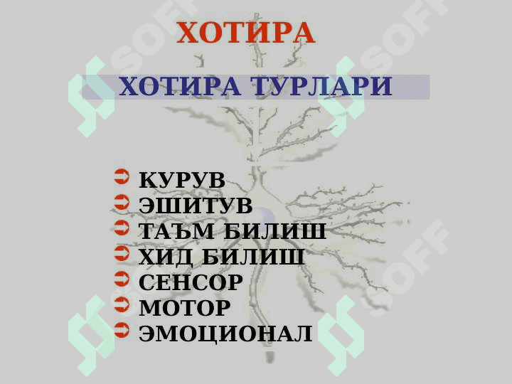 Акл ва хотира 8