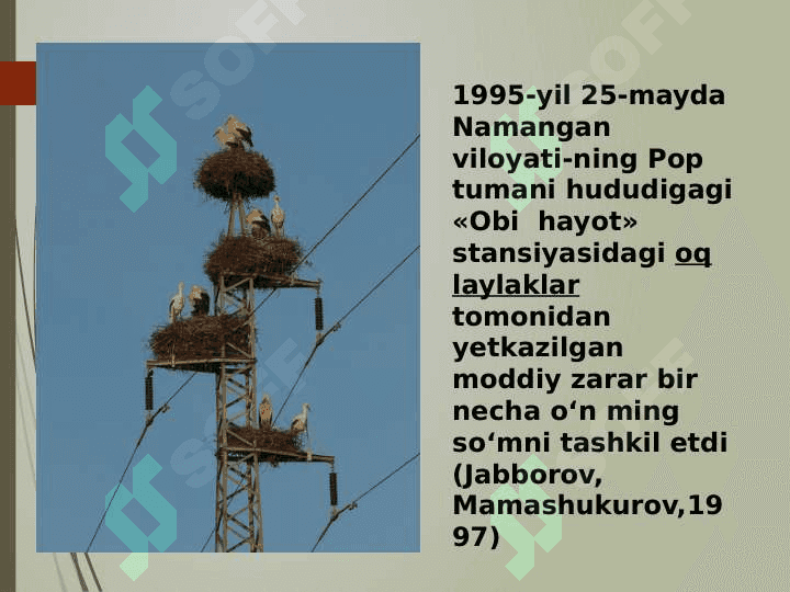 Qushlar biozararlanish manbalari. 5
