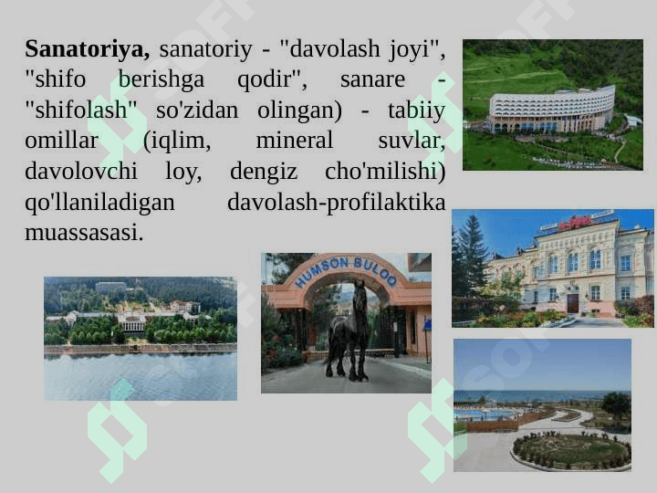 DAM OLISH MASKANLARIDA ANIMATORLIK XIZMATINI TASHKIL QILISHNING O‘ZIGA XOSLIGI 3