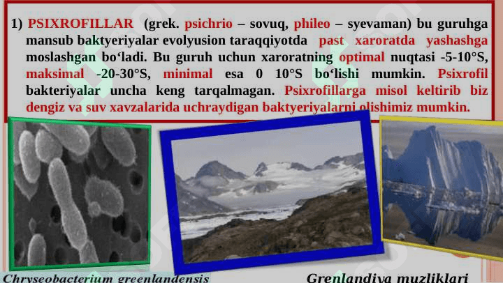 Mikroorganizmlarning hayot faoliyatiga tashqi muhit omillarining tasiri 8