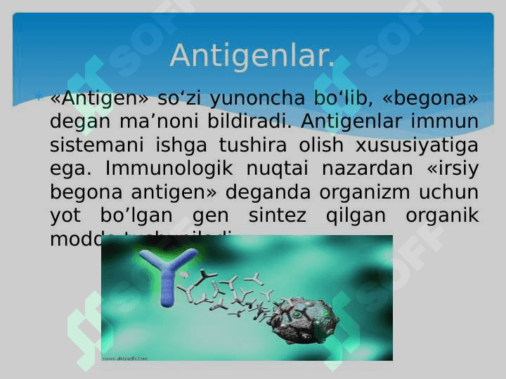 Antigen va antitela . Антиген ва антитела 4