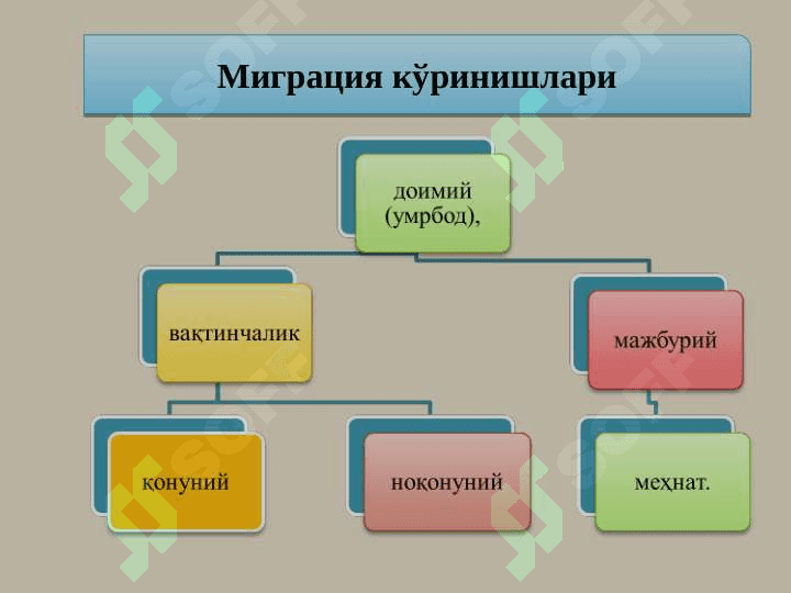 migratsiya 5