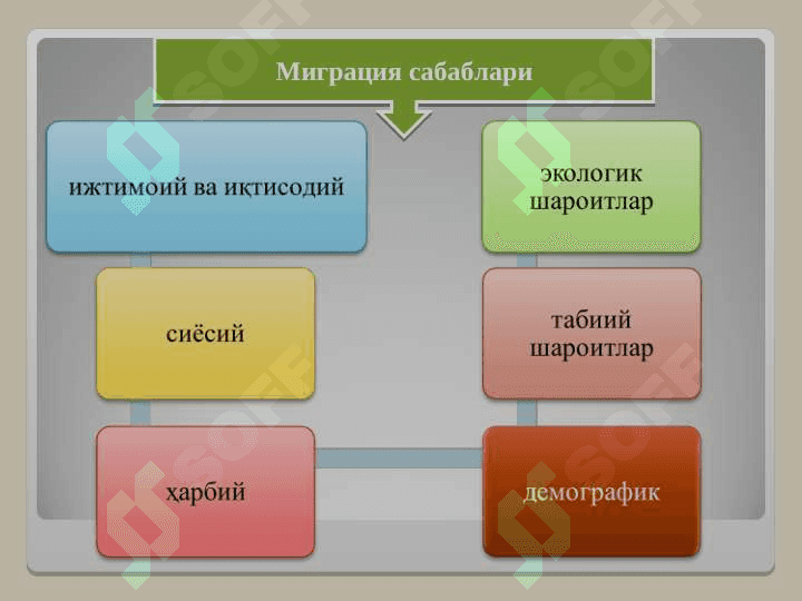 migratsiya 6