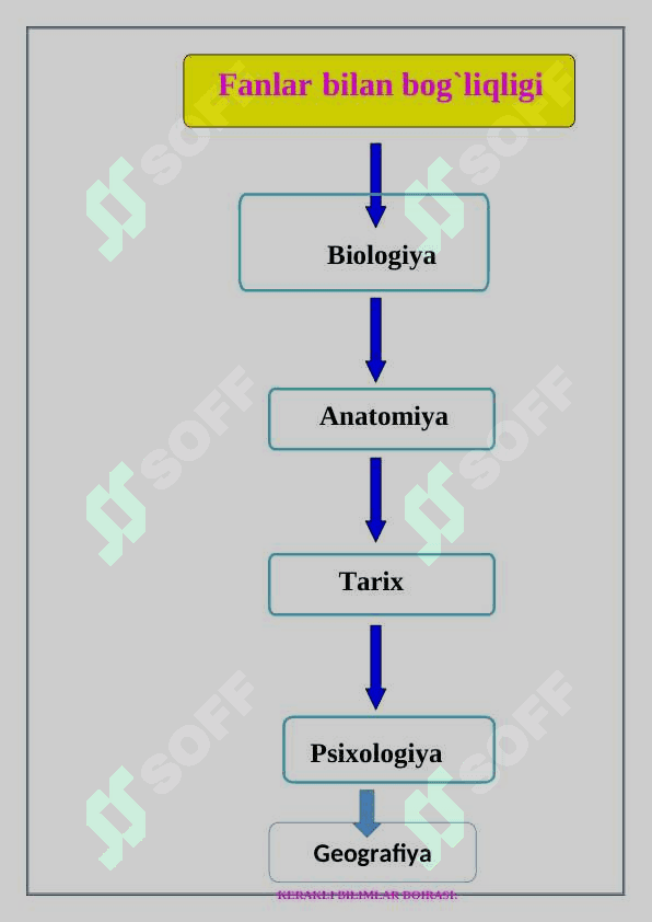 7_sinf_texnologiya Ziravorlar_Ziravorlarning_inson_organizmi dars ishlanma 4