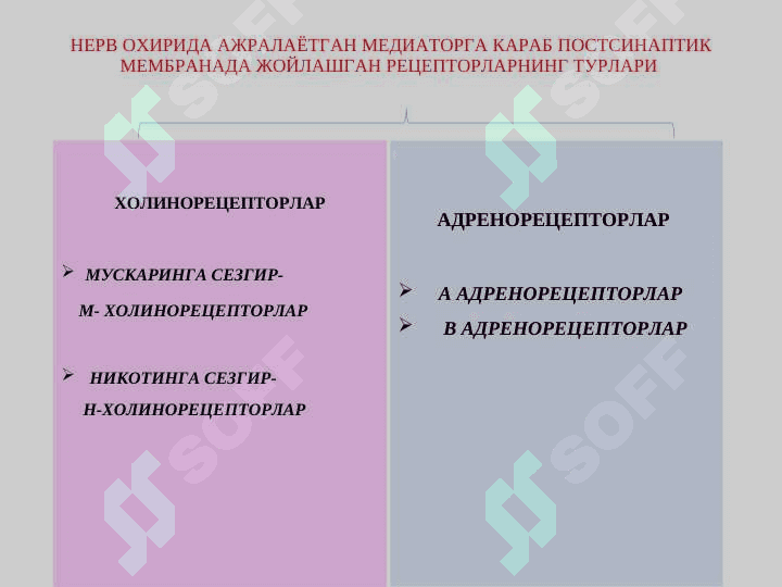 М-Н холинорецепторларга тасир этувчи воситалар . М холиномиметиклар . М  холиноблокаторлар . Антихолинэстераз воситалар . Mn xolinoretseptorlarga tasir qiluvchi vositalar . M xolinomimetiklar . M xolinoblokatorlar . Antixolinesteraz vositalar 7
