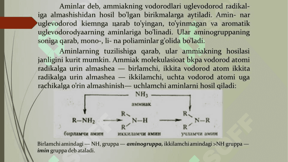 Aminlar 2