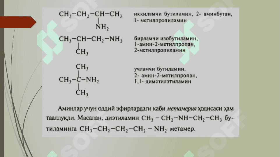 Aminlar 6