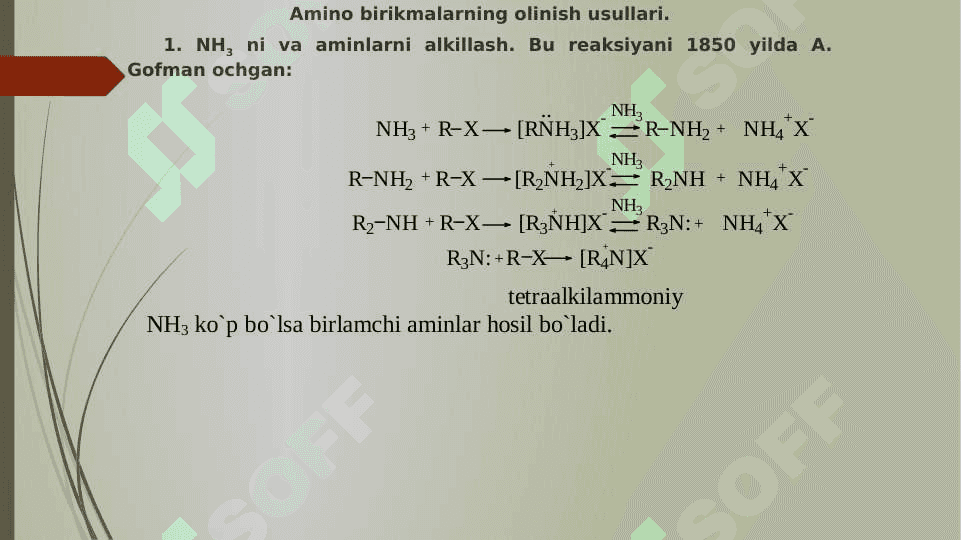 Aminlar 7