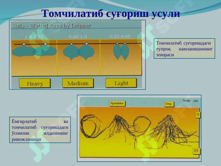 Томчилатиб суғориш усули 4