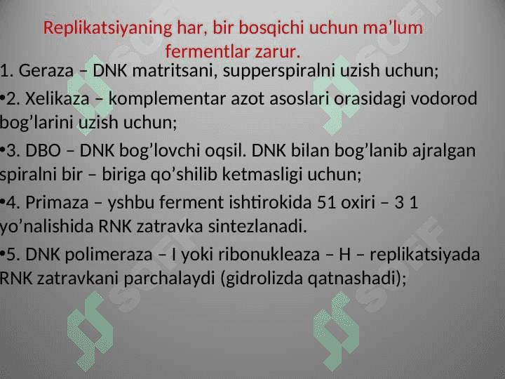 Prokariot va eukariot DNK polemerazaari 5
