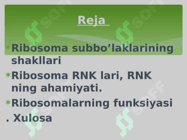 Prоkаriоt vа eurаkаriоtlаrning ribоsоmаsining tuzilishi vа funksiyalаri 4