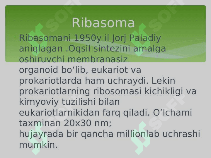Prоkаriоt vа eurаkаriоtlаrning ribоsоmаsining tuzilishi vа funksiyalаri 5