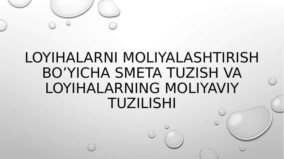 Loyihalarni moliyalashtirish 1