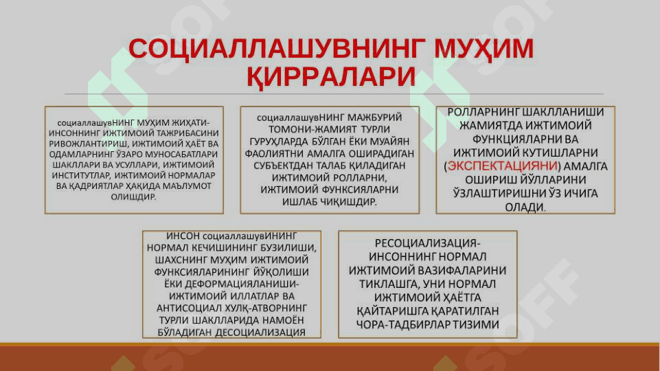 СОЦИОГЕНЕЗДА ШАХС 8