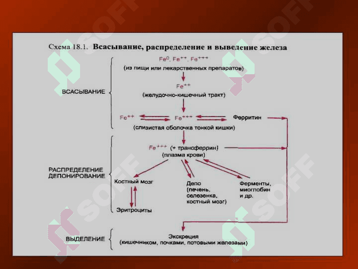 Qon sistemasiga tasir etuvchi vositalar . Кон системасига таъсир этувчи воситалар 2