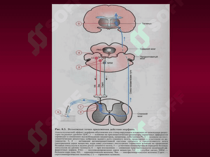 Analgetiklar . Og`riqsizlantiruvchi dorilar .  Огриксизлантирувчи воситалар 6