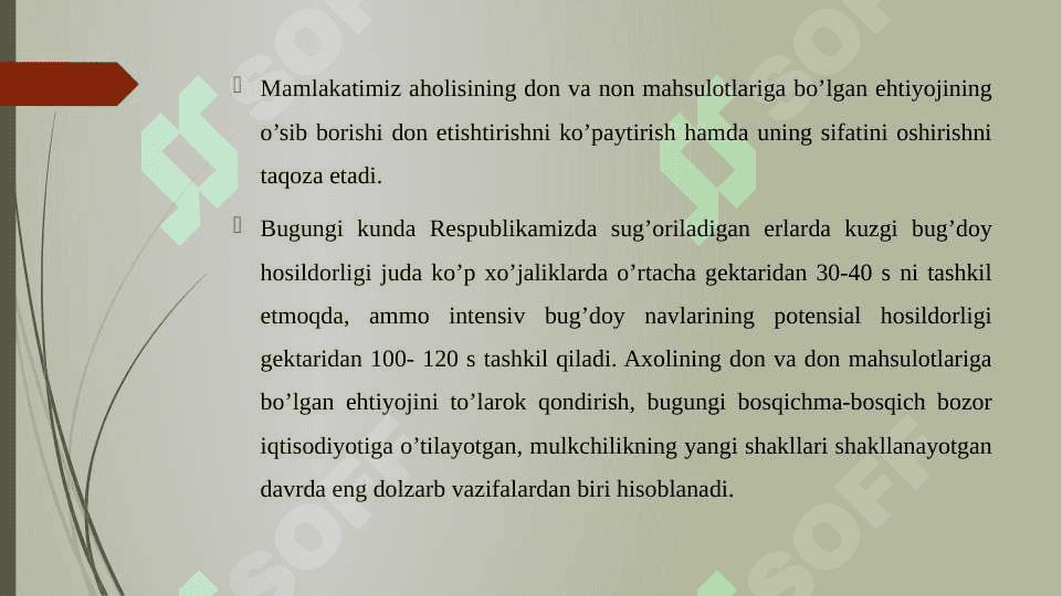 Don va don mahsulotlari 3