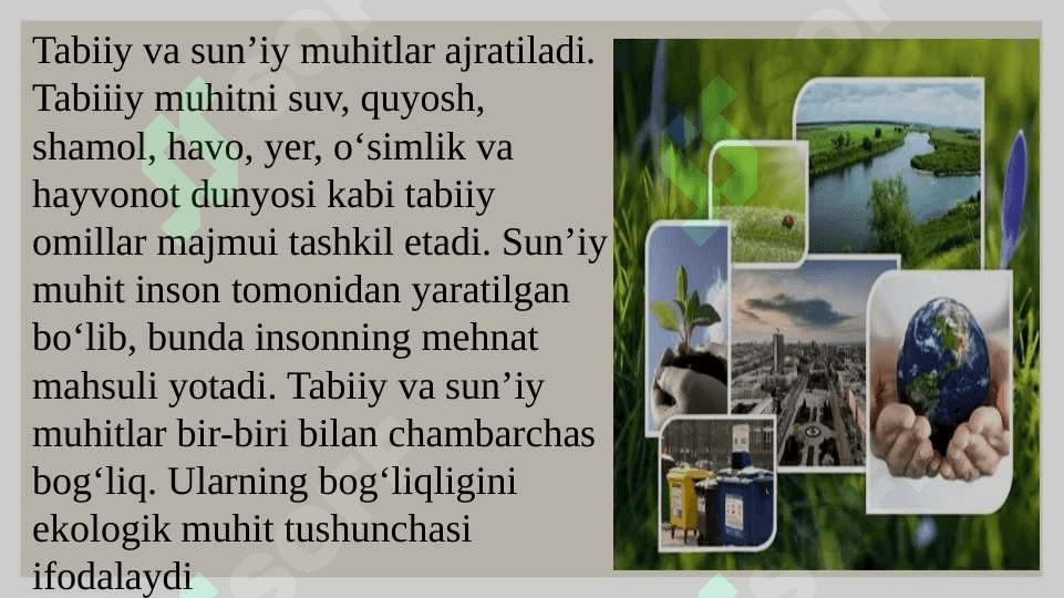 Ekologik muhit tushunchasi 4