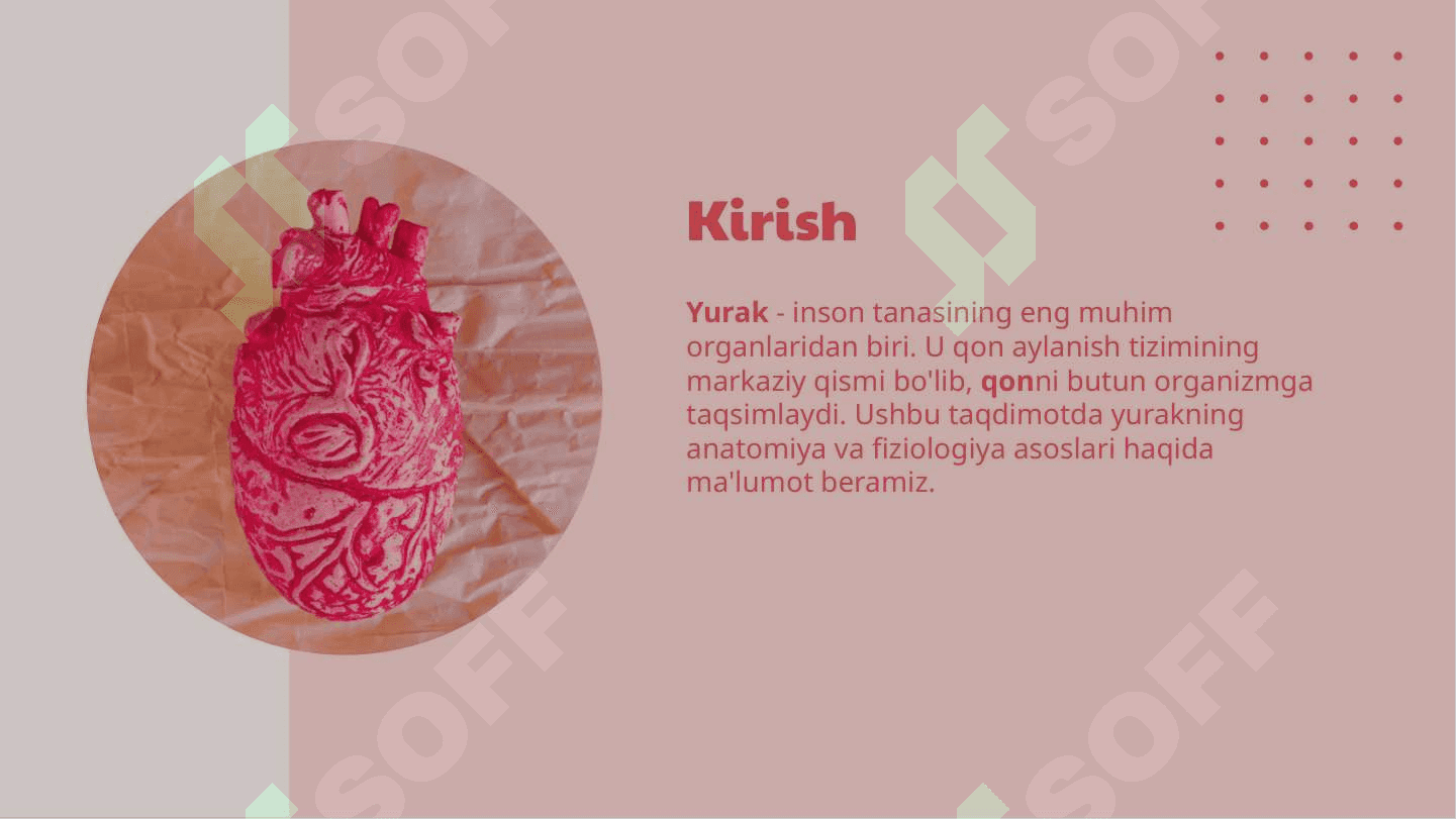 Yurakning ishlash prinsipi 4