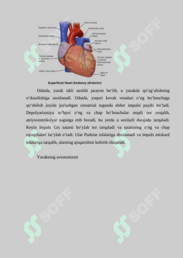 Yurakning ishlash prinsipi 4