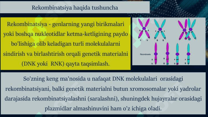 DNK rekombinatsiyasi 3