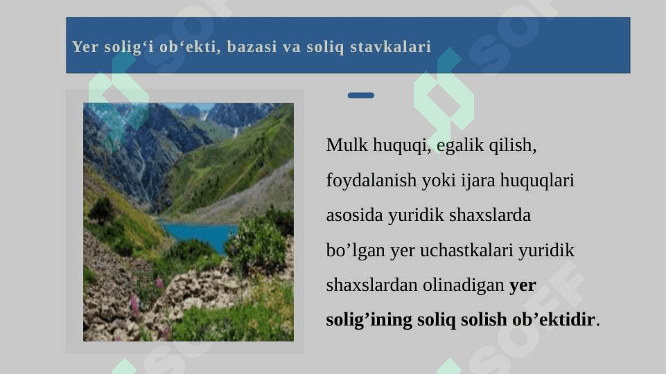 Yuridik shaxslardan olinadigan yer solig'i 8