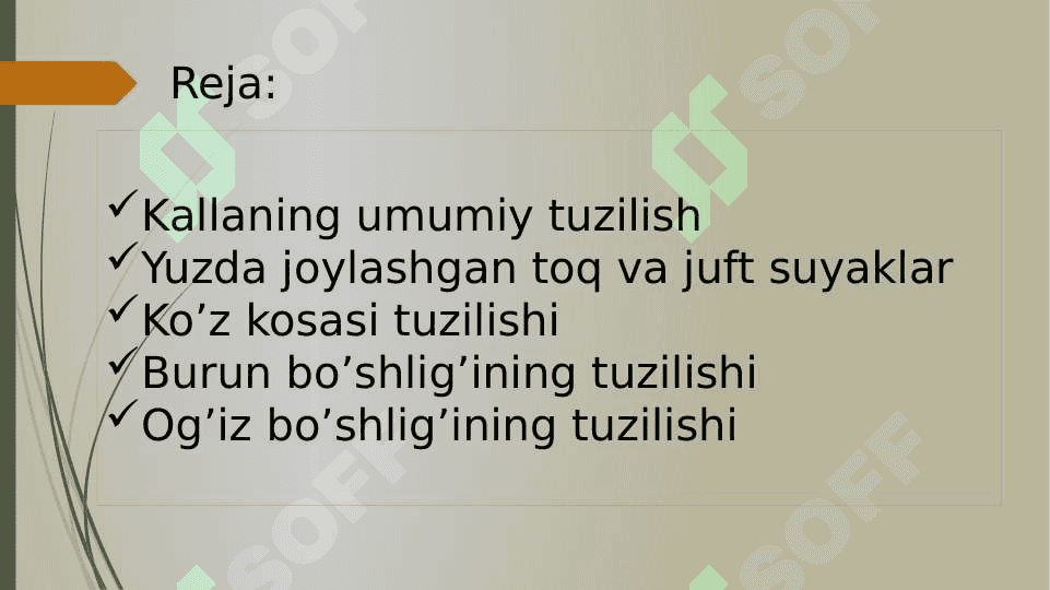 Kallaning Yuz qismidagi suyaklarning tuzilishi 2