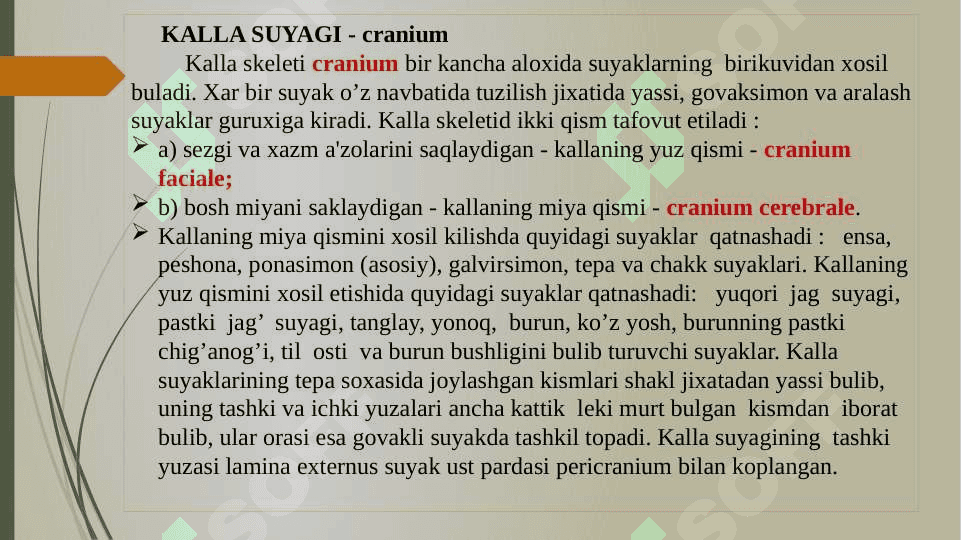Kallaning Yuz qismidagi suyaklarning tuzilishi 3
