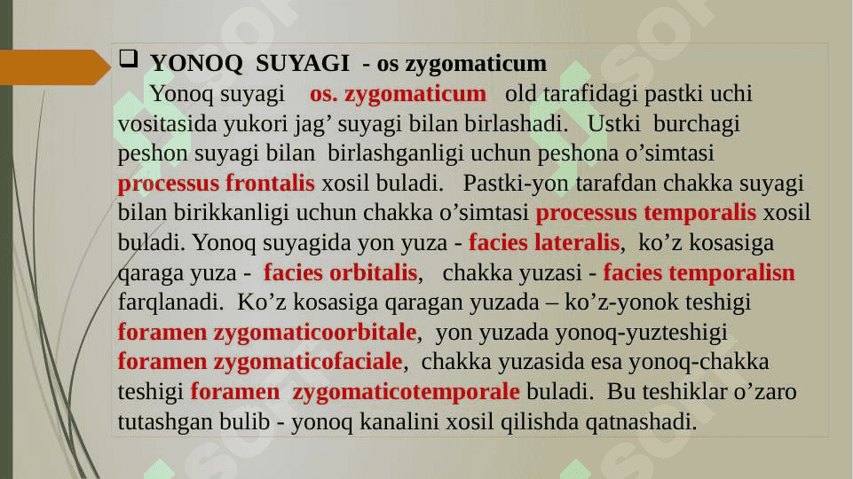 Kallaning Yuz qismidagi suyaklarning tuzilishi 6