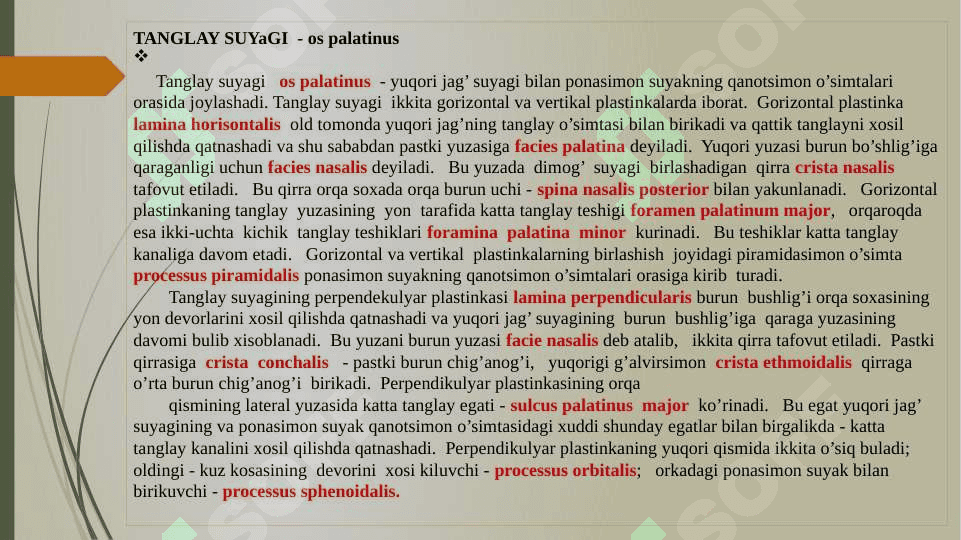 Kallaning Yuz qismidagi suyaklarning tuzilishi 8