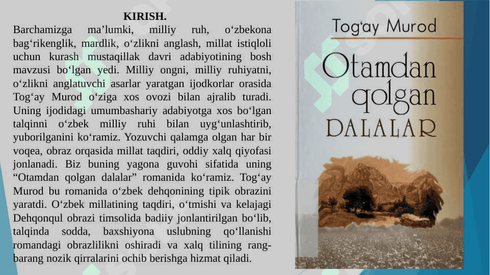 Tog‘ay Murodning “Otamdan qolgan dalalar” romani tahlili 2