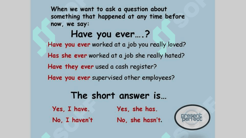 Present perfect tense 8