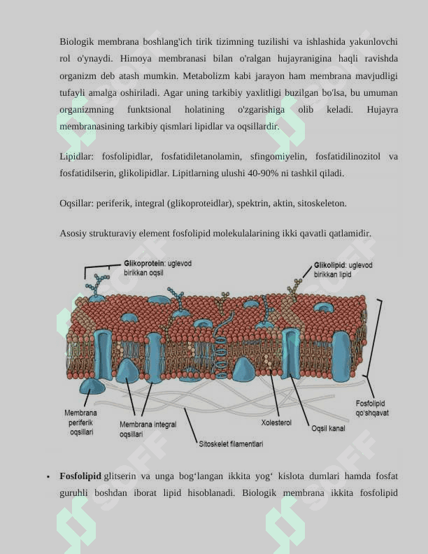 Membrana ,Oqsillar takibi va tuzilishi 2