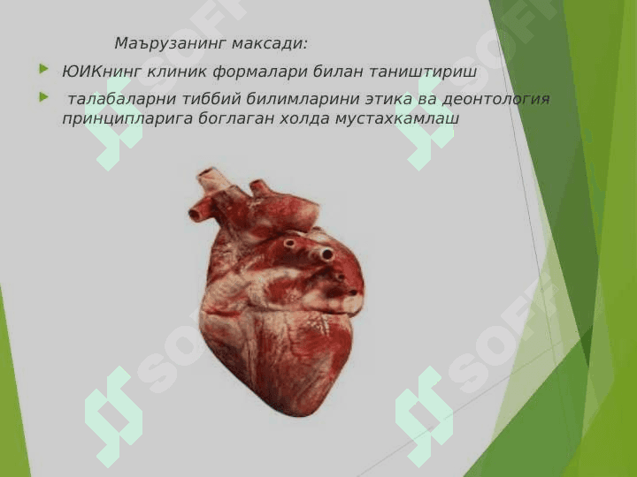 Юрак ишемик касаликлари: Стенокардия, миокард инфаркти диагностикаси. 3