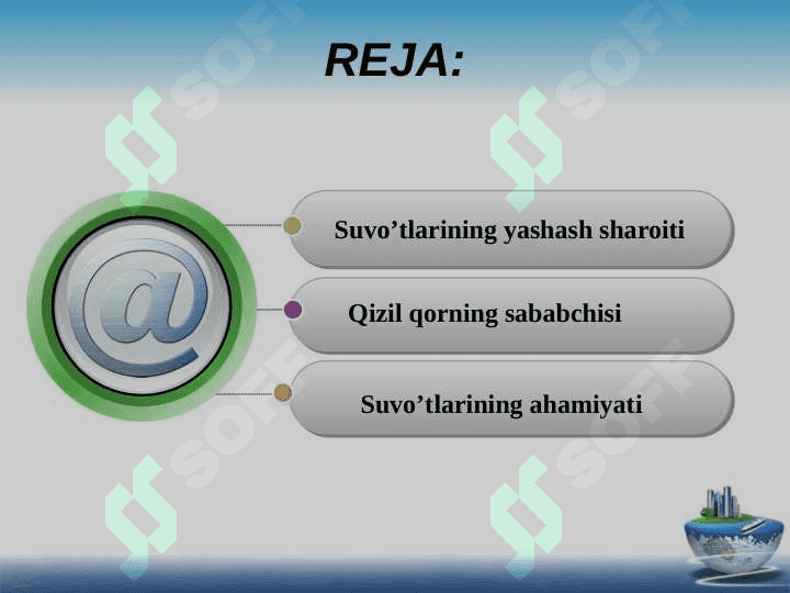 KO’K-YASHIL Suvo’tlarining yashash sharoiti va ahamiyati 2