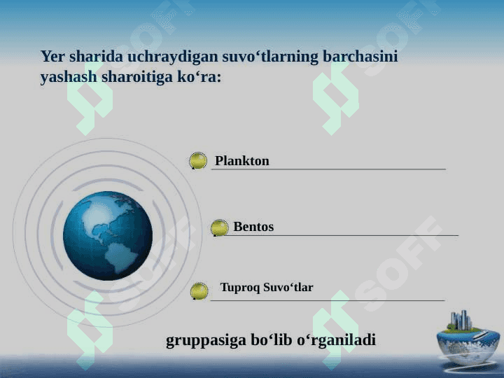 KO’K-YASHIL Suvo’tlarining yashash sharoiti va ahamiyati 3