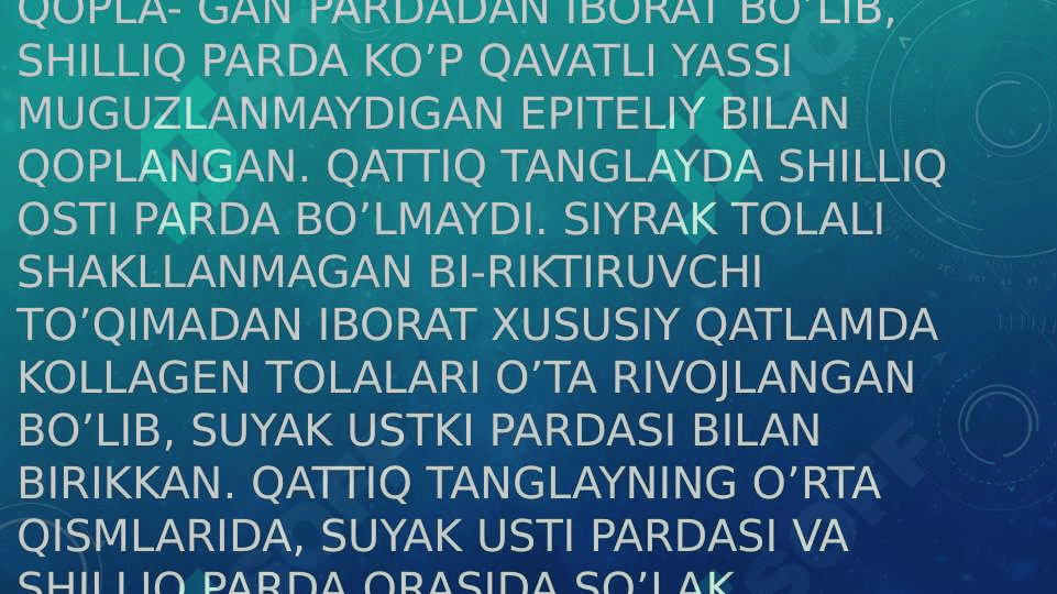 Ovqat hazm qilish tizimi. Og’iz bo’shlig’i a’zolari 4