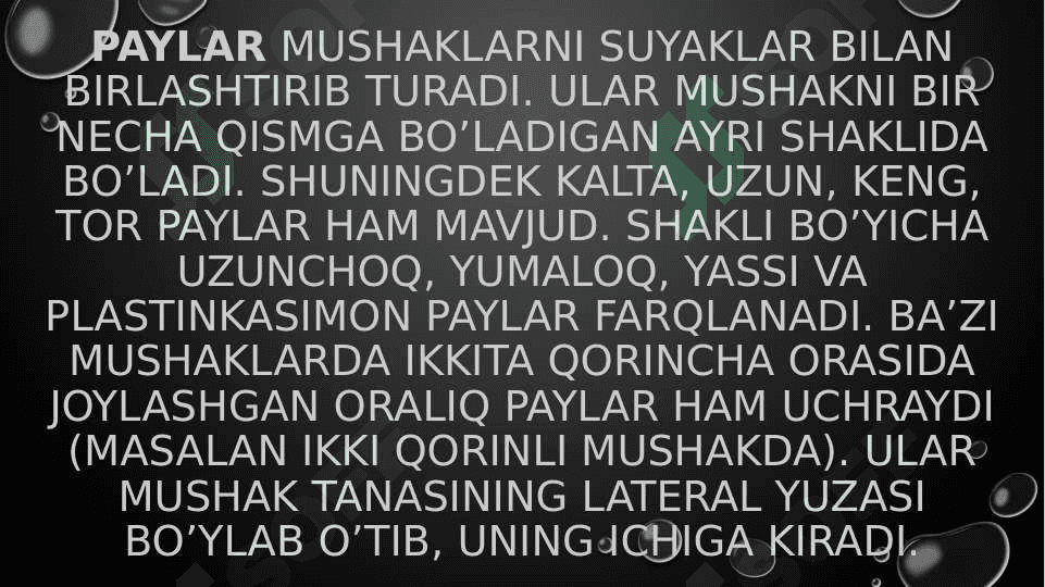 Qo’l-oyoq barmoq paylarining shikastlanishlari 2