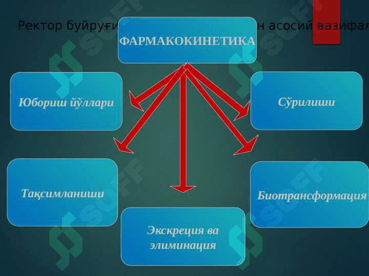 Клиник фармакология мақсад, вазифалари. Дори воситаларининг клиник фармакокинетикаси 5