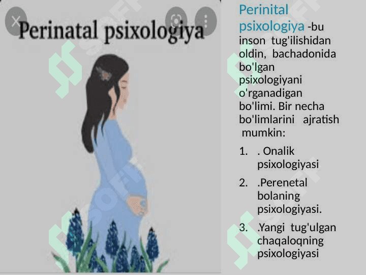 Perinatal psixologiya 3