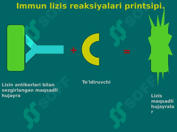 Komplement bog'lash reaksiyasi 3