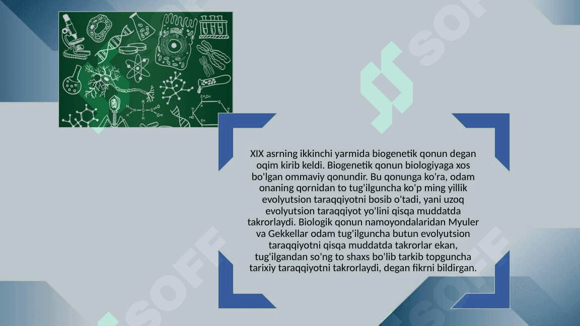Shaxs shakllanishining sotsiogenetik yo’nalishi 20.pptx 5