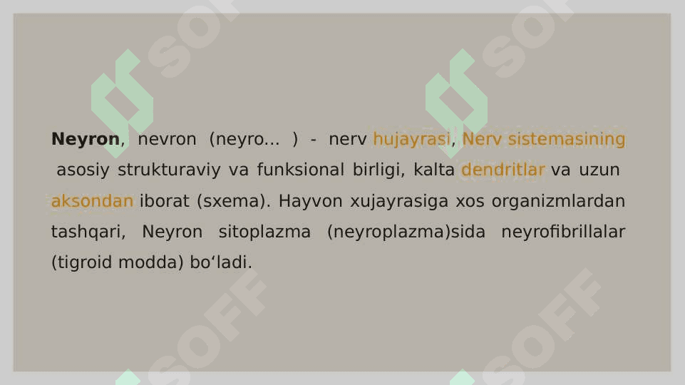 Neyron uning tuzulishi va funksiyasi 2