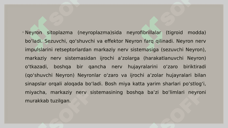 Neyron uning tuzulishi va funksiyasi 3